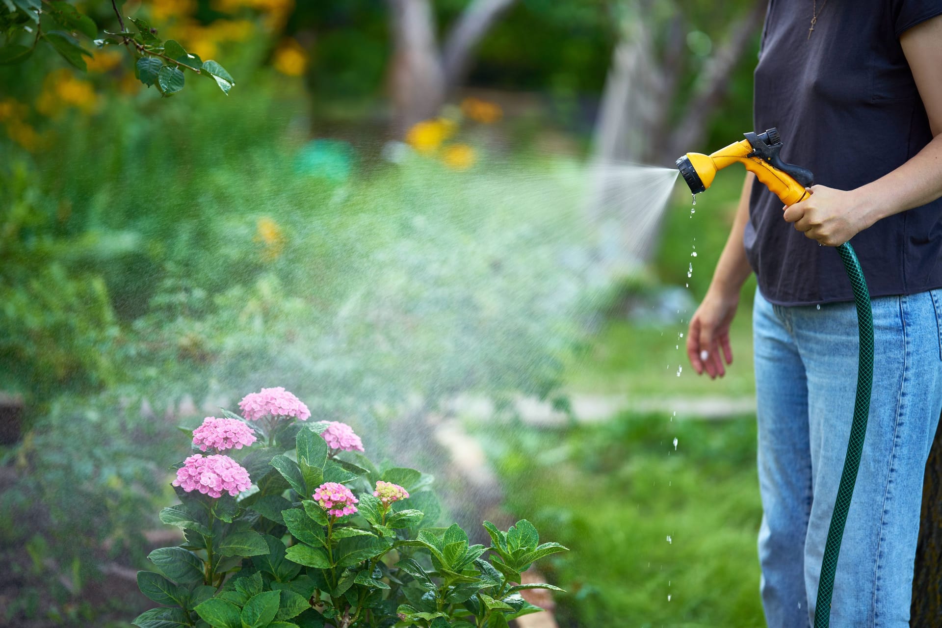 Eine Frau gießt ihre Blumen (Symbolfoto): Die Hannover hat knappe Grundwasserstände zu beklagen.