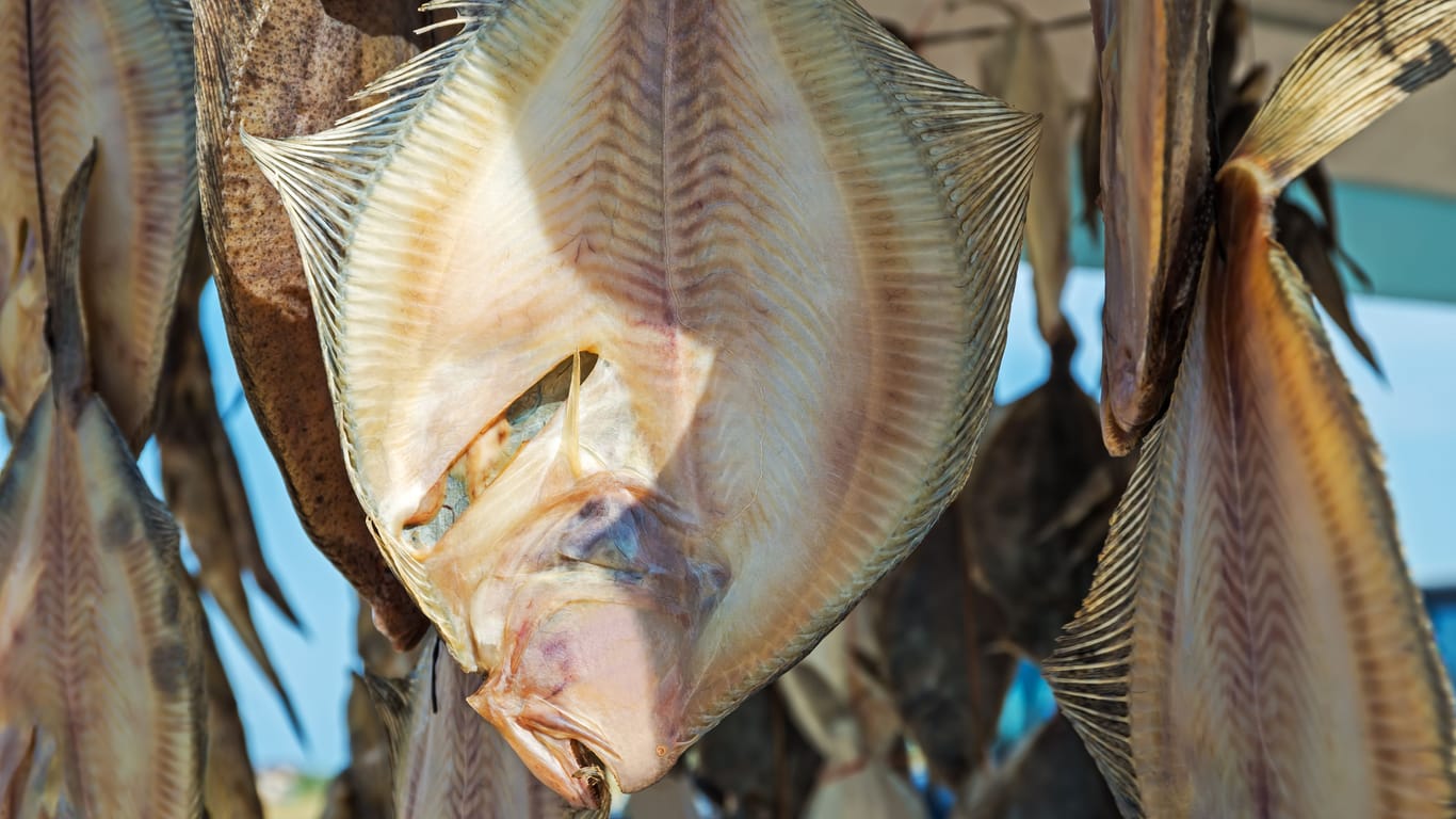 Dried fish Black Sea turbot or kalkan