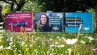 Wahlplakate zur Europawahl stehen an einer Straße: Mehrere Hundert Mal wurden in Niedersachsen Wahlplakate beschädigt.