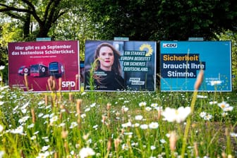 Wahlplakate zur Europawahl stehen an einer Straße: Mehrere Hundert Mal wurden in Niedersachsen Wahlplakate beschädigt.