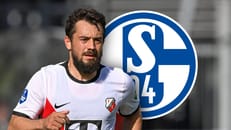 Schalke landet Coup und holt Ex-Nationalspieler