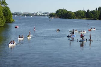 Freizeitsportler auf der Alster (Archivbild): Ist Schwimmen in der Alster gefährlich?