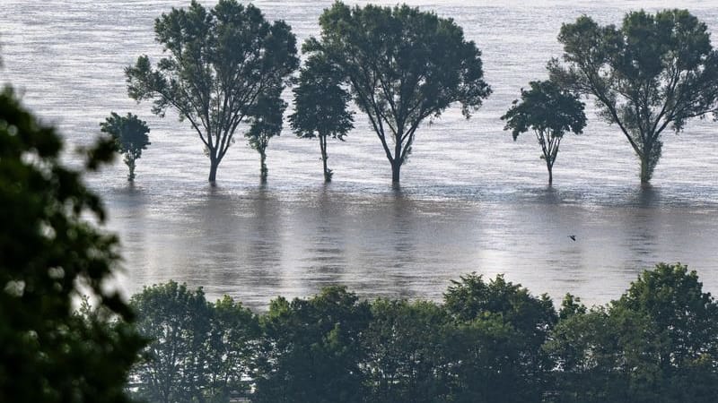 Bäume stehen im Hochwasser der Donau. In einigen Hochwassergebieten in Süddeutschland entschärft sich die Lage, an der unteren Donau bleibt sie gespannt.