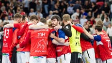 Hamburgs Handballer erhalten endgültig die Bundesliga-Lizenz