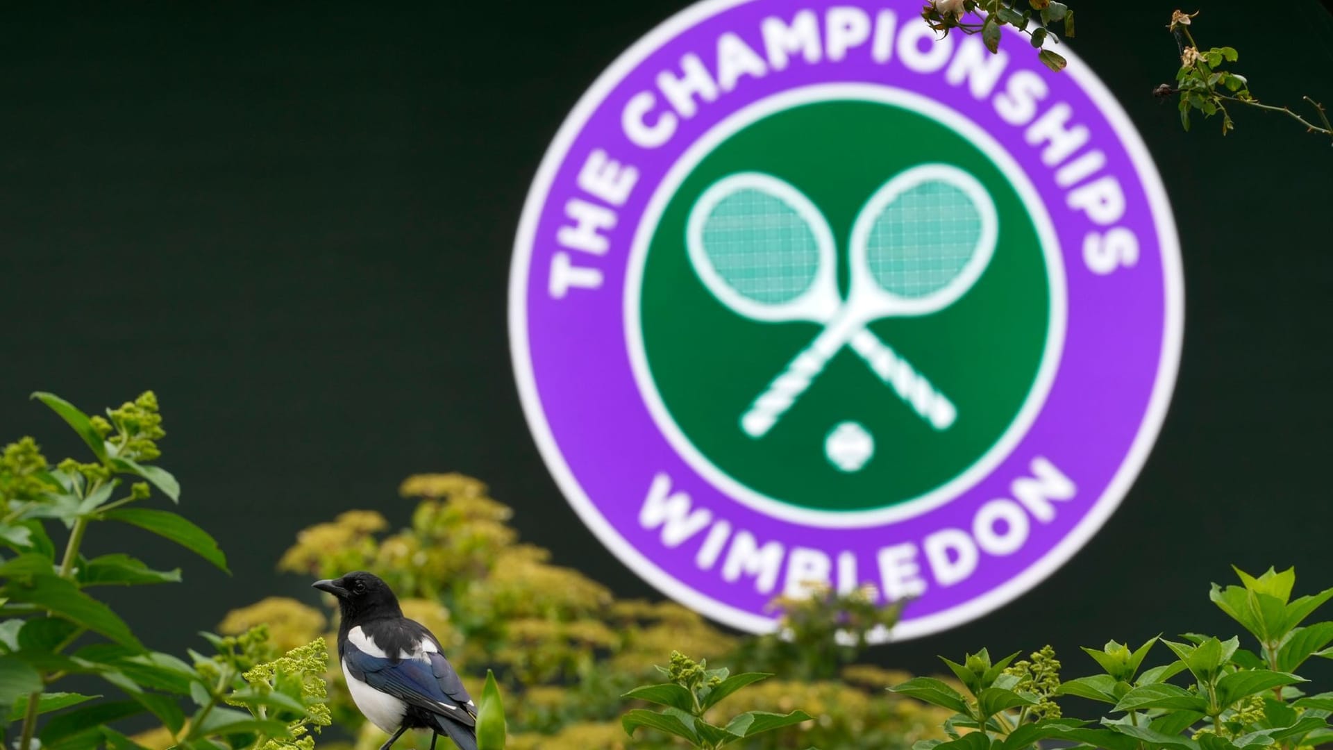 Wimbledon