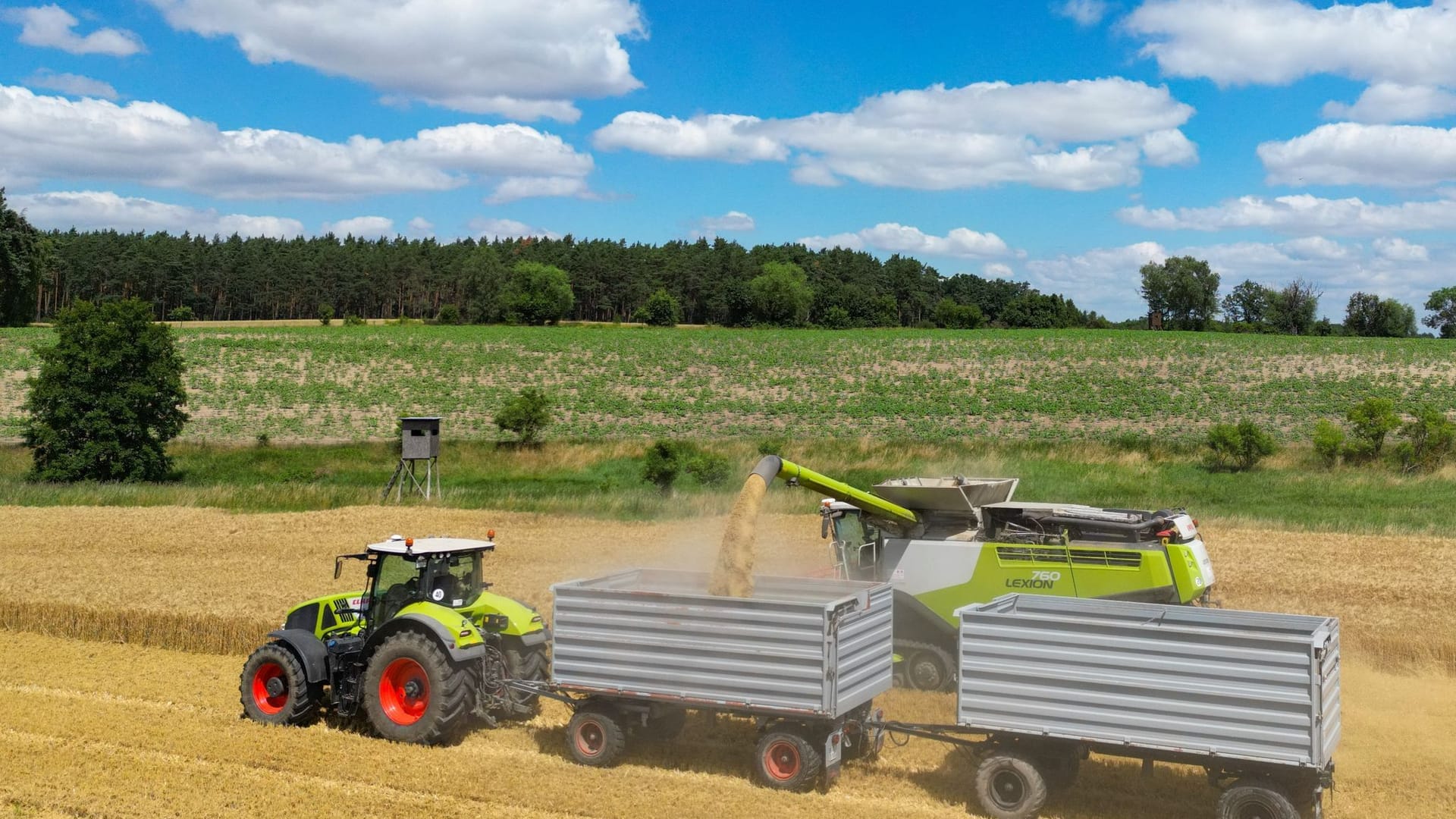 Ampel zu Landwirtschaft