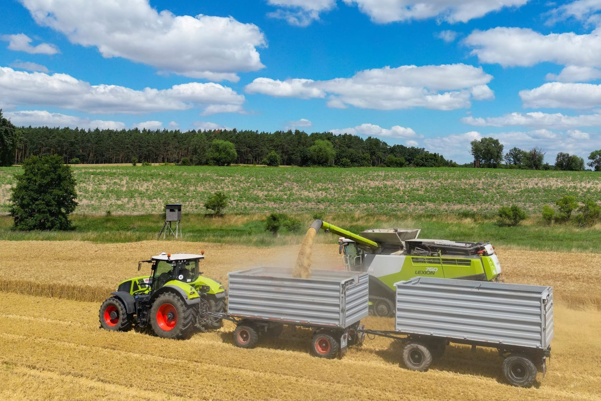 Ampel zu Landwirtschaft