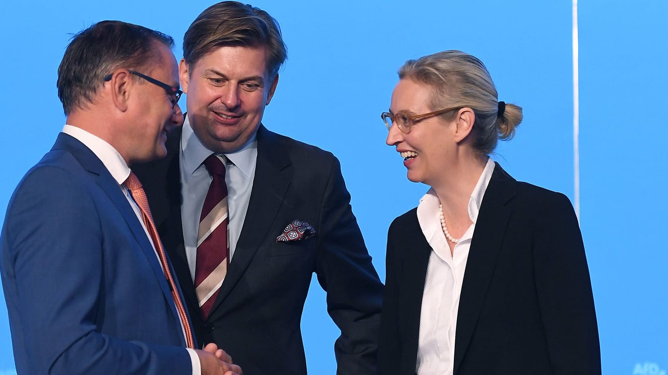 Tino Chrupalla (links), Maximilian Krah (Mitte), Alice Weidel (rechts) beim 14. Bundesparteitag vergangenes Jahr (Archivbild): Wie genau es jetzt im Europarlament für die AfD weitergeht, ist ungewiss.