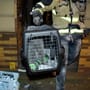 Essen: Siebenstündige Rettungsaktion – Feuerwehr muss Katze aus Kamin befreien