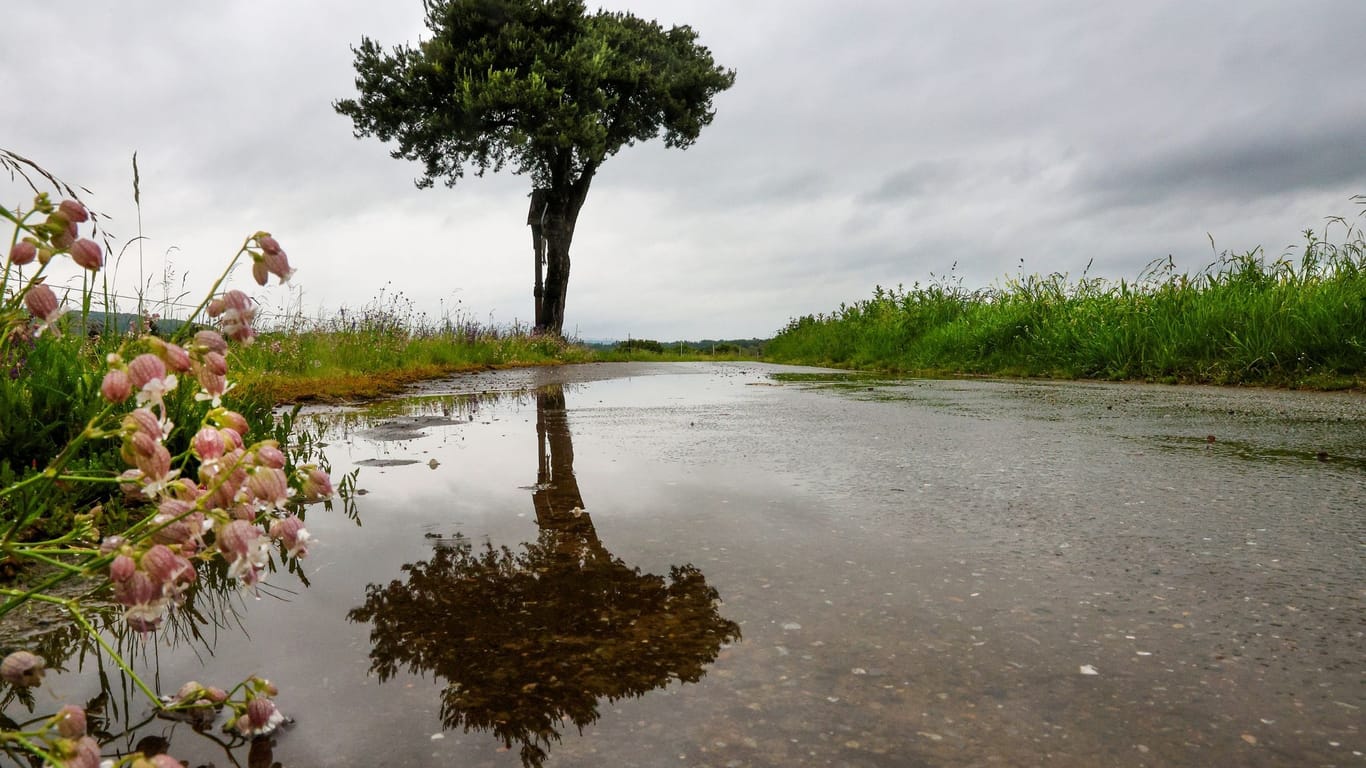 Wetter in Baden-Württemberg