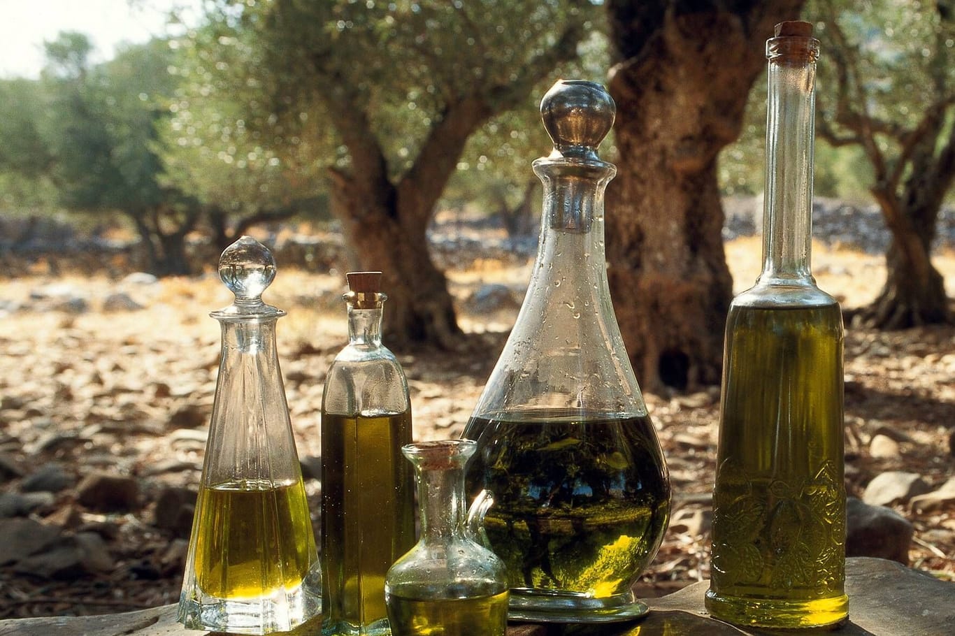 Olivenöl (Symbolbild): Die gestiegenen Preise könnten zu einer historisch niedrigen Nachfrage führen.