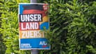 Wahlplakate zur Europawahl: Die AfD wurde in Köln drittstärkste Kraft.
