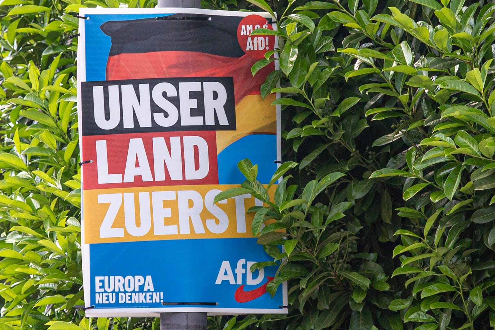 Wahlplakate zur Europawahl: Die AfD wurde in Köln drittstärkste Kraft.