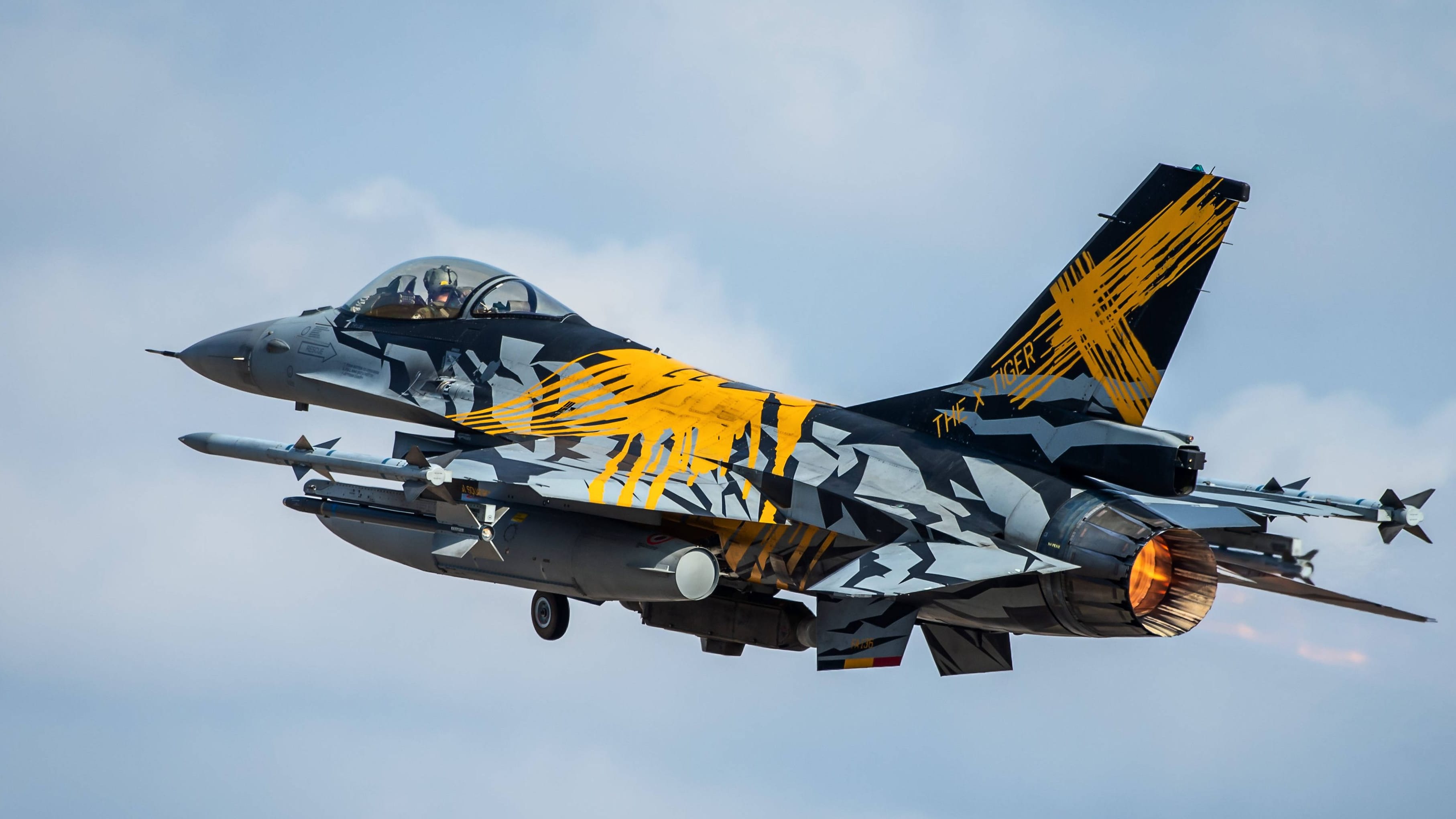 Kampfjets fliegen über Deutschland: Nato-Manöver «Tiger Meet» startet