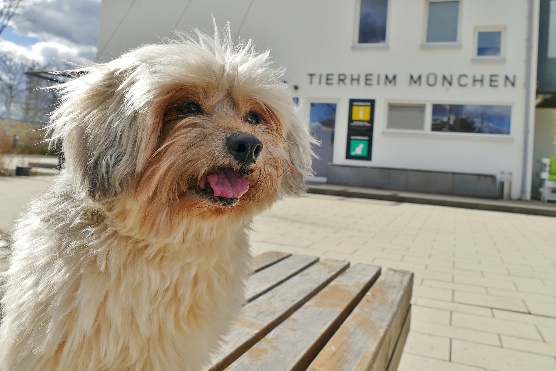 In seiner Jahrespressekonferenz stellt das Tierheim München neben Zahlen und Fakten auch tierische Bewohner vor.