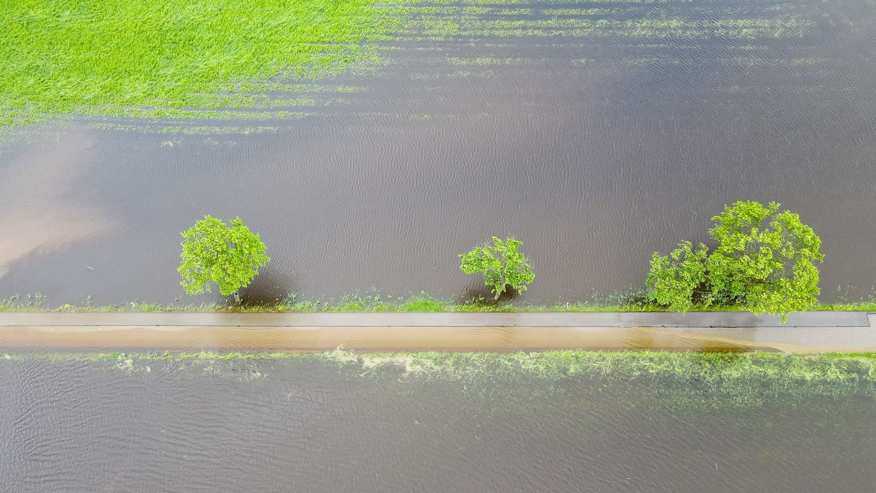 Der Dauerregen Hat Meine Ernte Vernichtet Die Folgen Sind Verheerend - kz14ow7