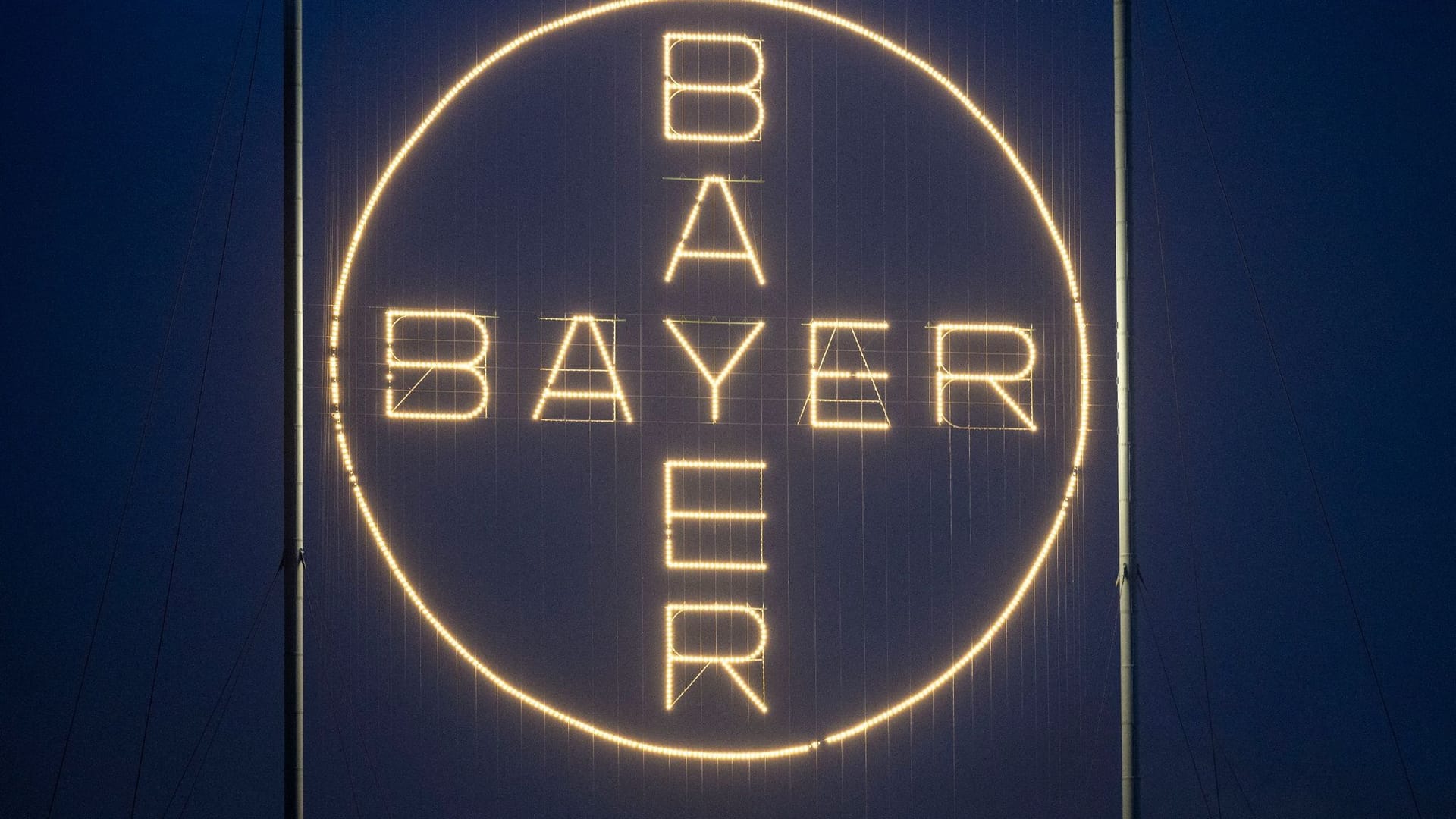 Bayer Bayer