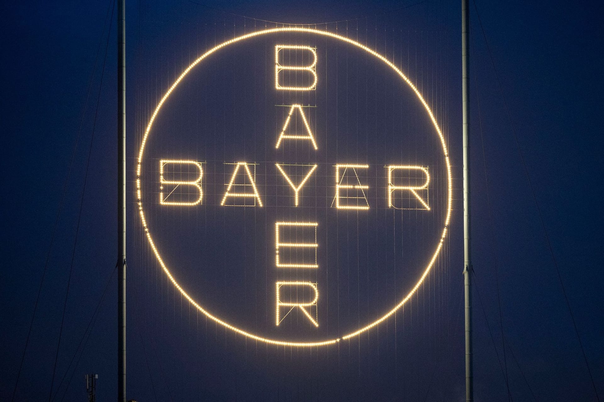 Bayer