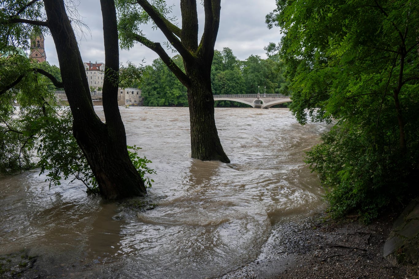 Bäume im Hochwasser (Archivbild): In Neu-Ulm hat eine Frau 52 Stunden auf einer Baumkrone ausgeharrt.