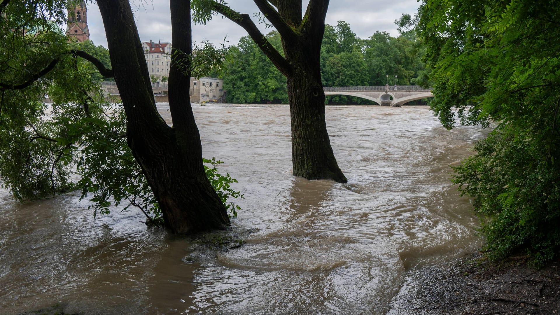 Bäume im Hochwasser (Archivbild): In Neu-Ulm hat eine Frau 52 Stunden auf einer Baumkrone ausgeharrt.