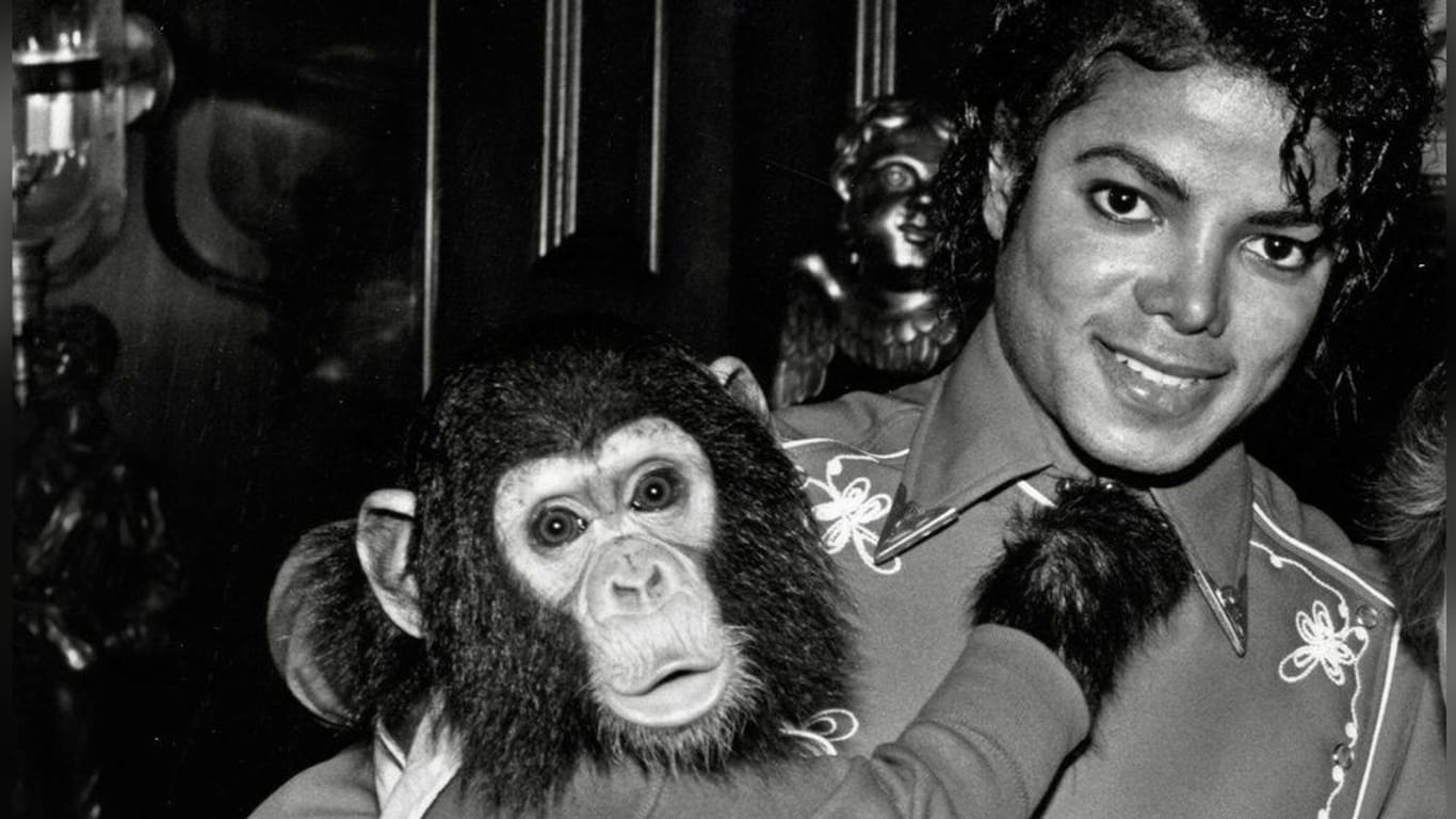 Michael Jackson: Der Sänger hatte einen Schimpansen Bubbles zum Haustier.