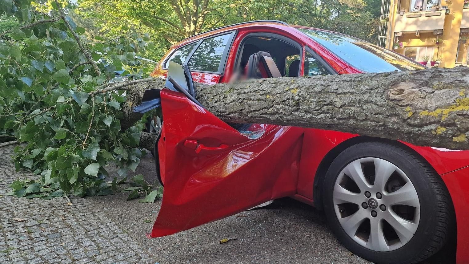 Der riesige Ast an der Autotür: Dahinter sitzt die eingeklemmte Person.