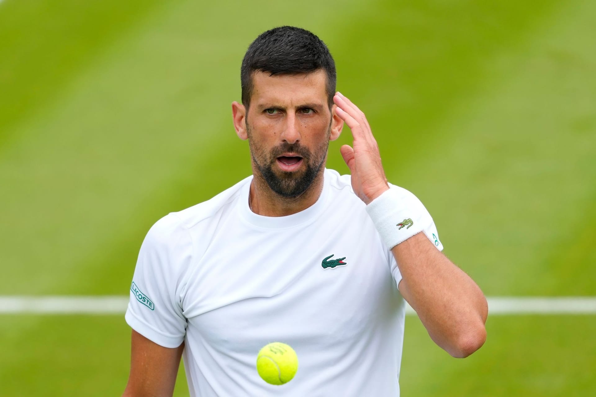 Novak Djokovic