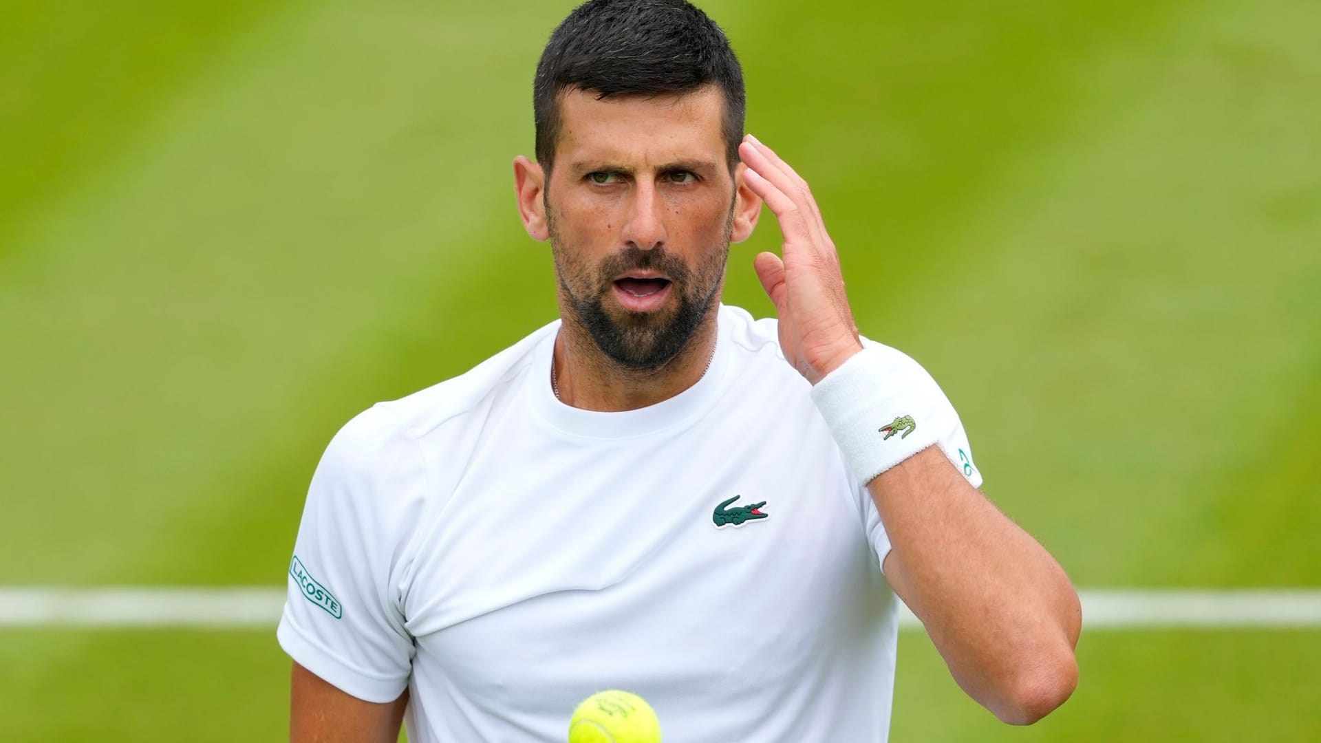 Novak Djokovic