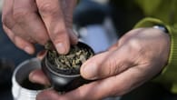 Cannabis Clubs: Grasanbau könnte sich verzögern
