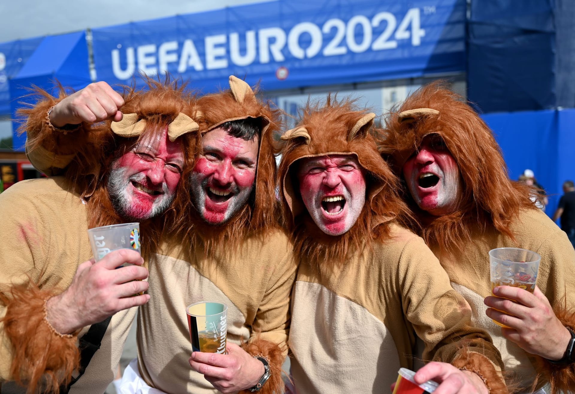 Ein Rudel Löwen hat sich als englische Fans verkleidet.