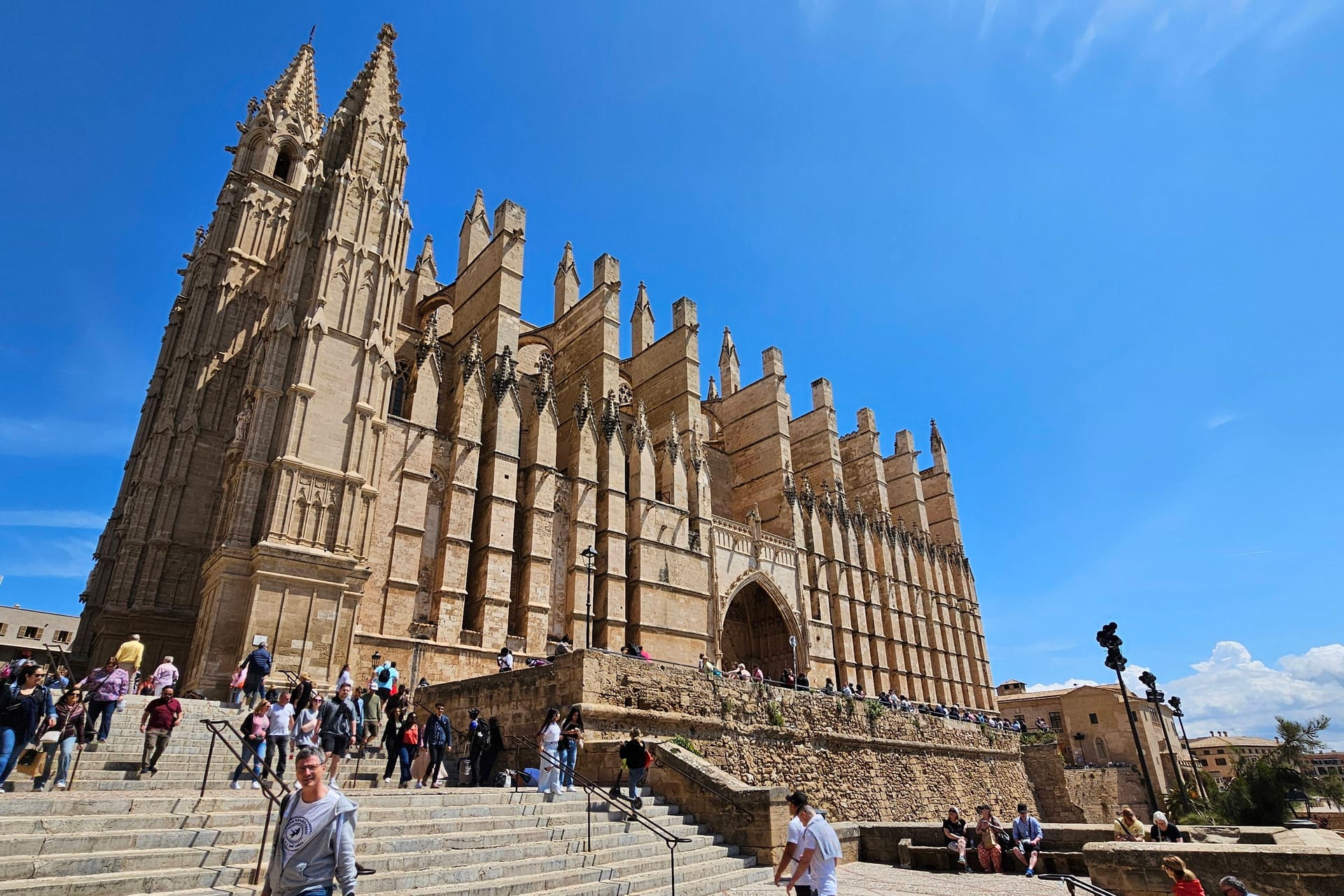 Kathedrale von Palma de Mallorca: Vor der Kirche stürzte am frühen Mittwochmorgen ein Deutscher in den Tod.