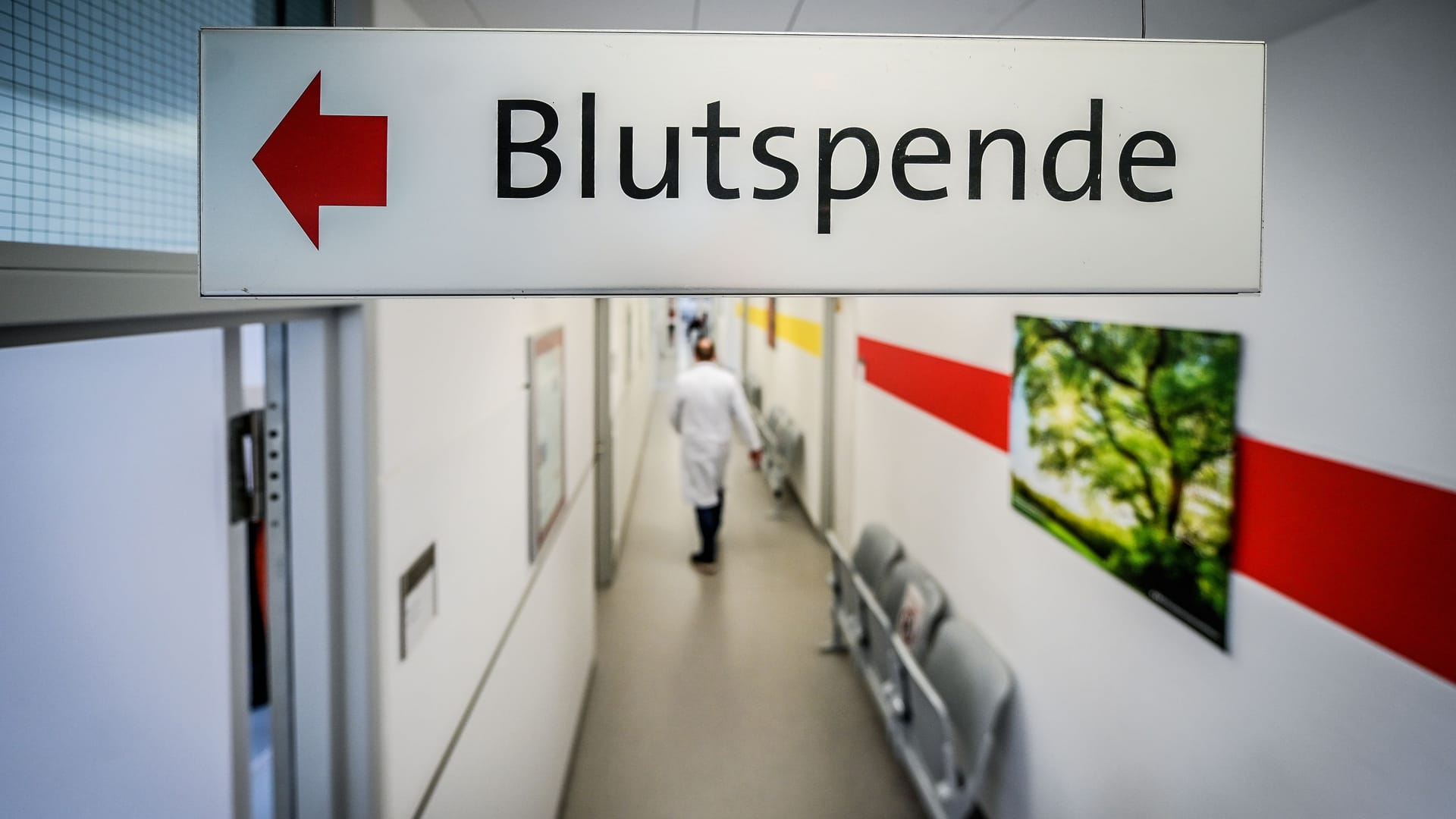 Trotz Angst Blut spenden: Reden Sie mit den Mitarbeitenden und lenken Sie sich ab.