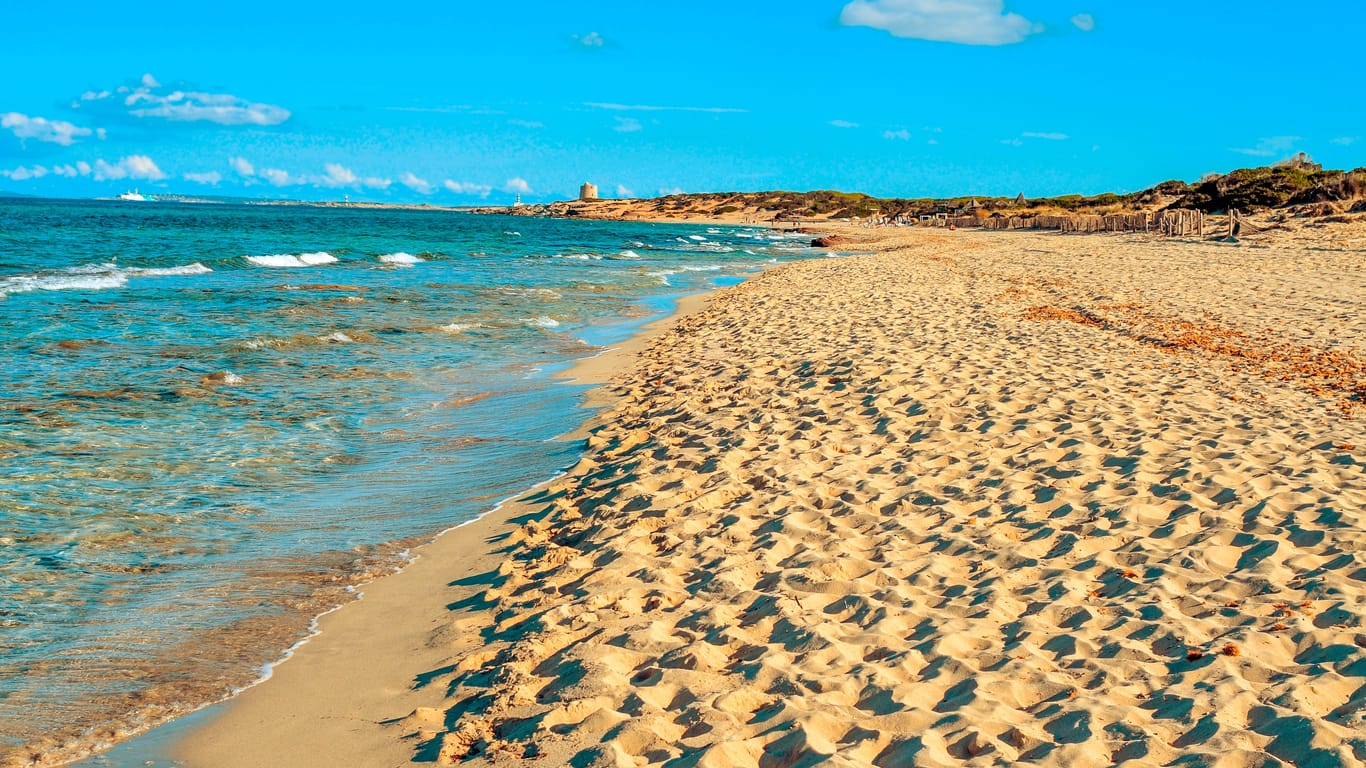 panoramic view of the Es Cavallet beach, in Ibiza Island, Spain