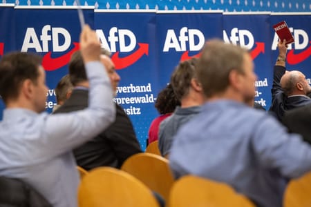 AfD-Politiker und «Heimat» planen..