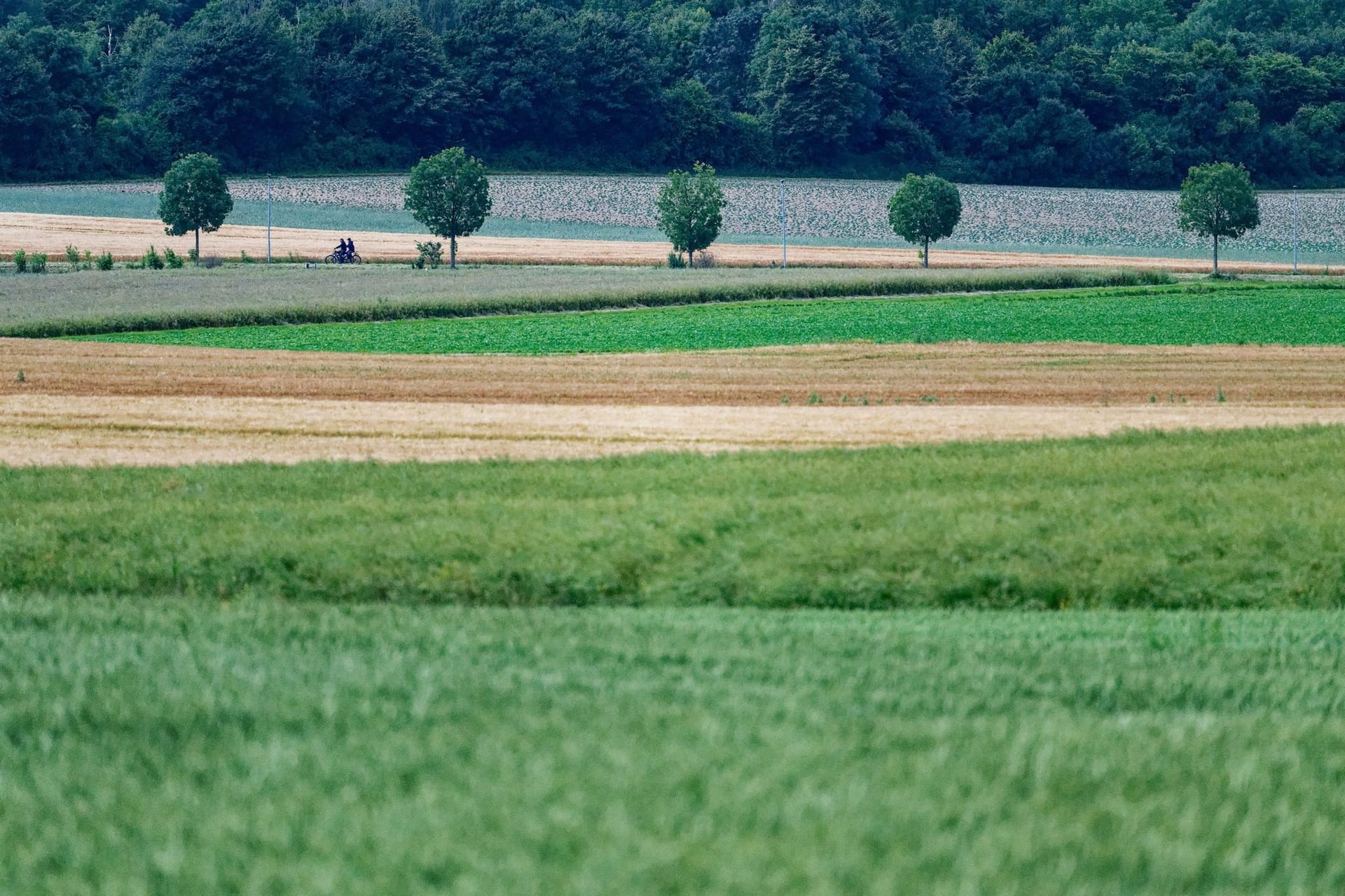 Wetter in Nordrhein-Westfalen