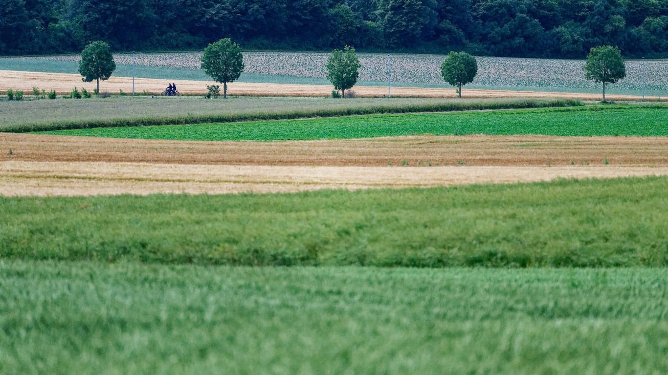 Wetter in Nordrhein-Westfalen