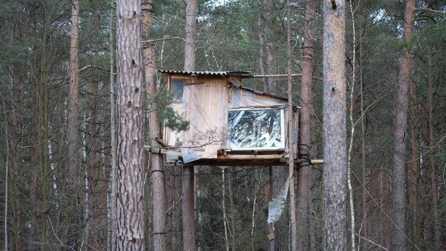 Die Räumung des Heibo-Waldes in Sachsen (Symbolbild): Ähnliche Baumhäuser, wie im Heibo-Wald wurden auch im Gremberger Wäldchen errichtet.