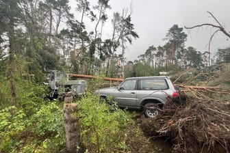 Fahrzeuge stehen inmitten von ungestürzten Bäumen. Im Landkreis Meißen hat ein Unwetter am Dienstag teils erhebliche Schäden verursacht.