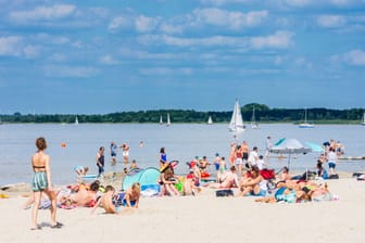 Menschen liegen am Strand am Steinhuder Meer: Bei schönem Wetter ist die Insel ein beliebter Badeort.