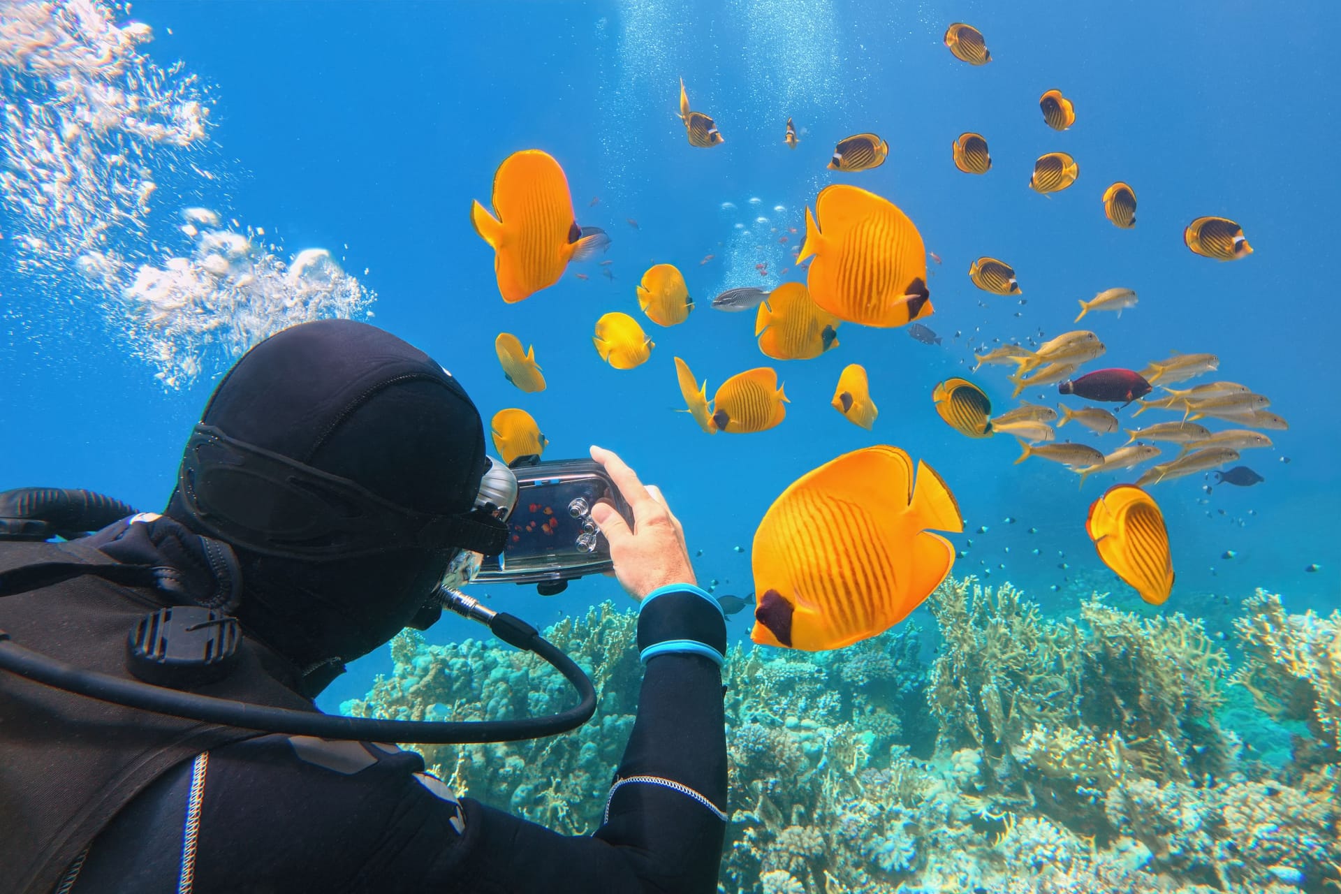 Unterwasserfotos mit dem Handy – das geht! Die Stiftung Warentest hat Tauchgehäuse und wasserdichte Handyhüllen getestet.