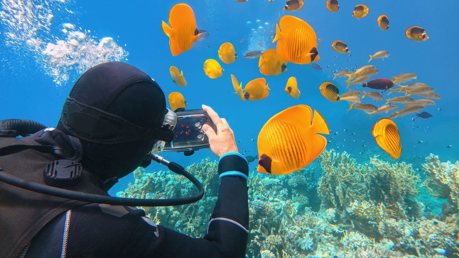 Unterwasserfotos mit dem Handy – das geht! Die Stiftung Warentest hat Tauchgehäuse und wasserdichte Handyhüllen getestet.