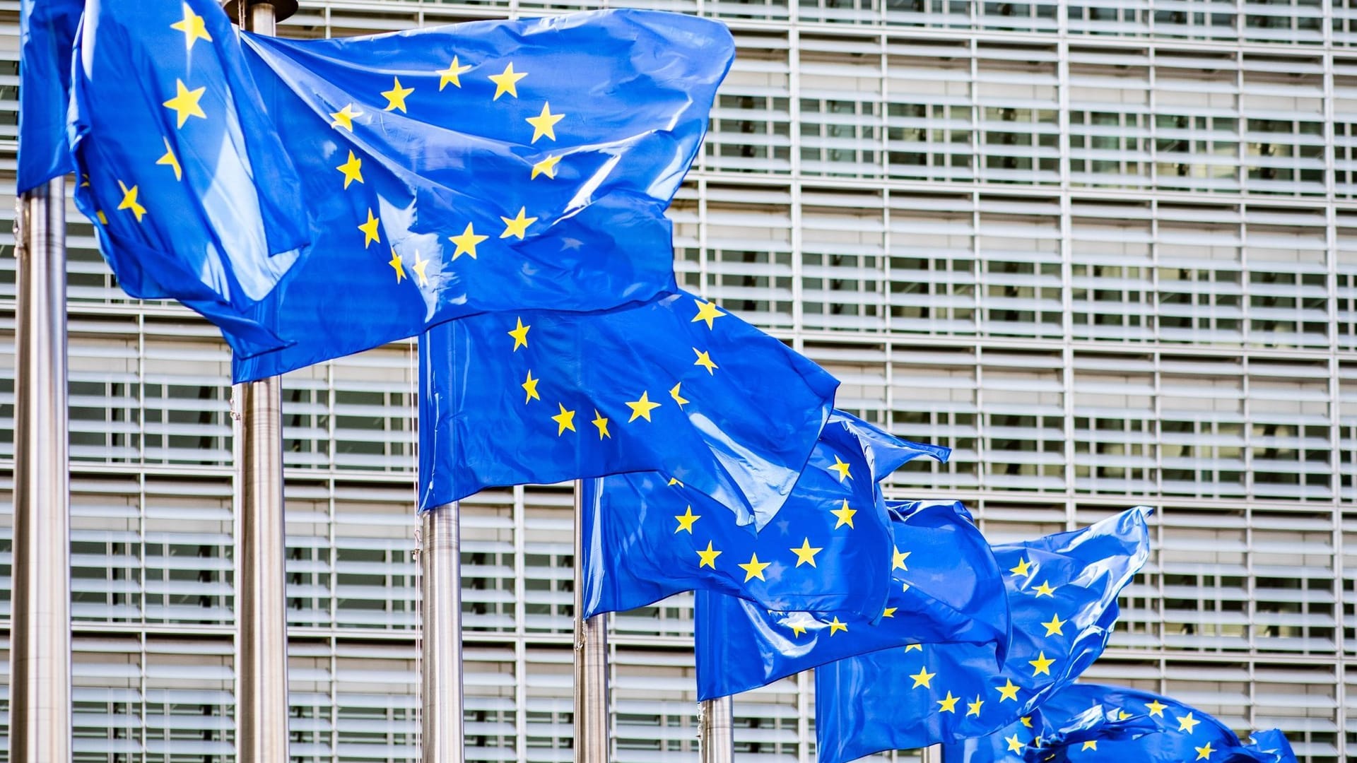 Europaflaggen Europaflaggen