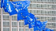 Europawahl 2024: Rechte Hoffnungen und ein grünes Dilemma