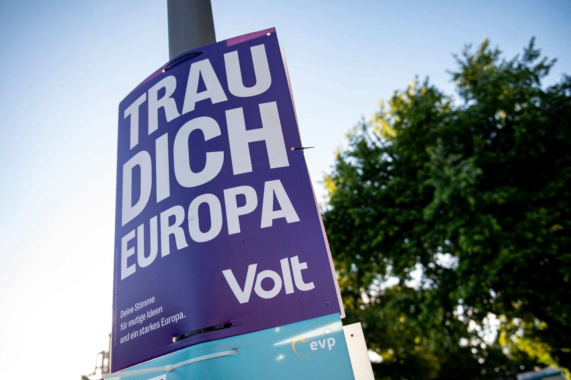 Volt-Wahlplakat