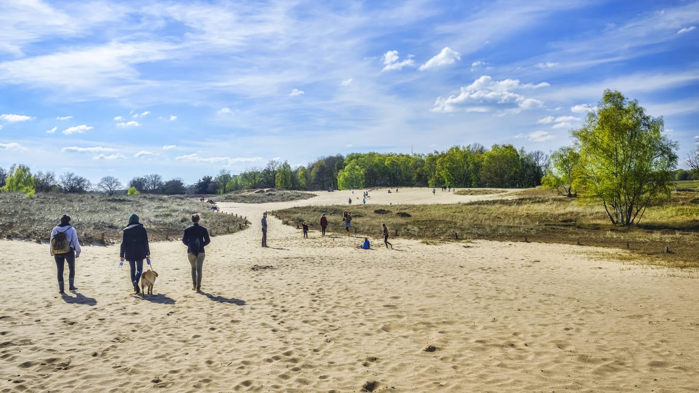 Ein riesengroßer Sandkasten: In den Boberger Dünen können Besucher spazieren gehen, picknicken oder einfach nur auf einer Decke entspannen.