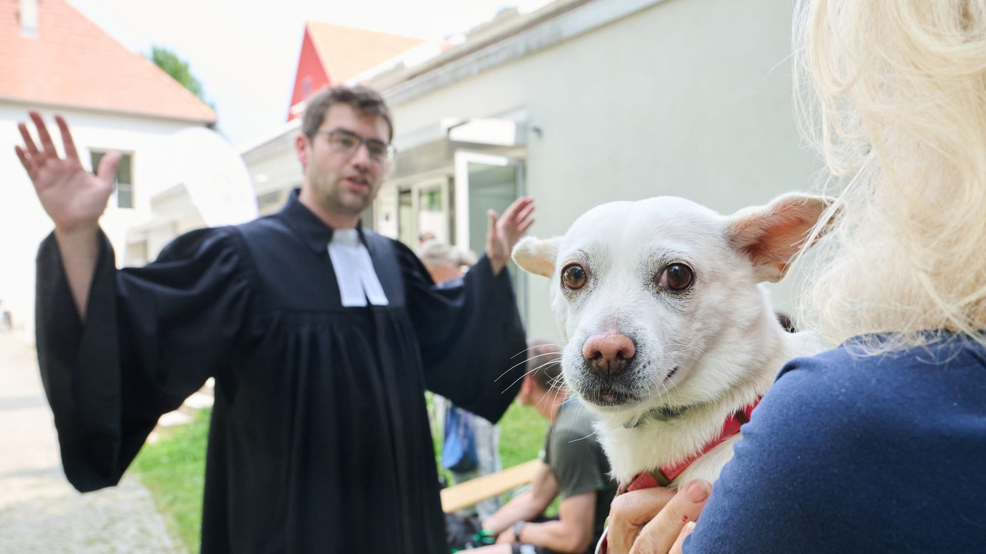 Mischlingshund „Meimei“ sitzt auf dem Arm seines Frauchens während Pfarrer Philipp Reis ihn segnet. Zum Tiersegnungs-Gottesdienst der Evangelische Kirchengemeinde Berlin-Rudow mit dem Motto „Segen kommt von oben“ kommen viele Hunde und ihre Hundebesitzer. Mischlingshund „Meimei“ sitzt auf dem Arm seines Frauchens während Pfarrer Philipp Reis ihn segnet. Zum Tiersegnungs-Gottesdienst der Evangelische Kirchengemeinde Berlin-Rudow mit dem Motto „Segen kommt von oben“ kommen viele Hunde und ihre Hundebesitzer.