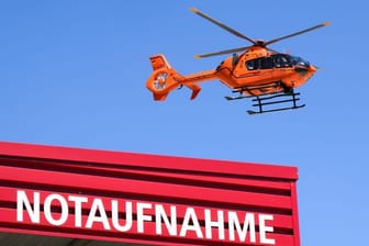 Rettungshubschrauber (Symbolbild): In einem Freizeitpark ist ein Mann schwer verletzt worden.