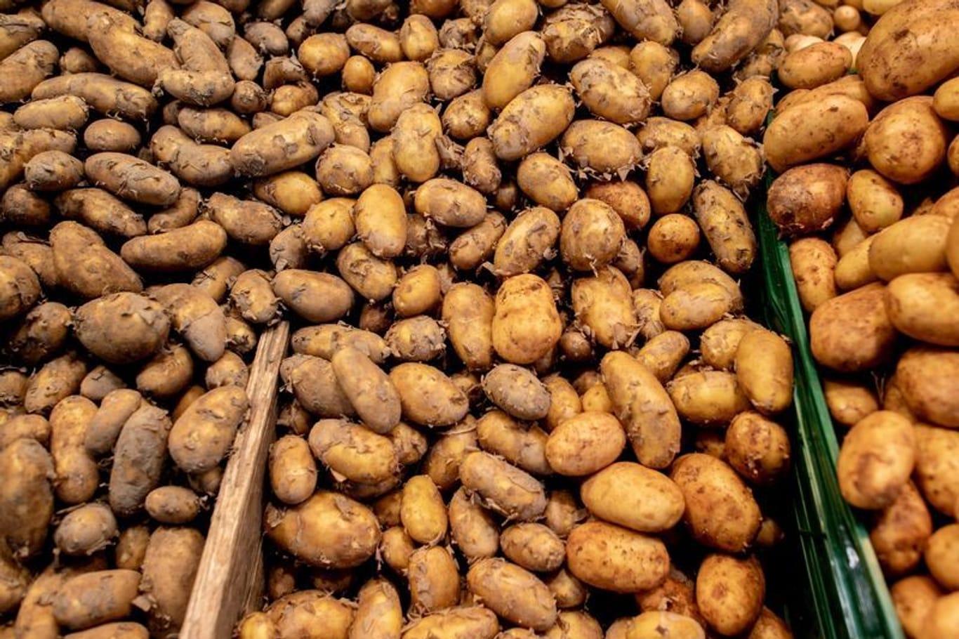 Allgemein ist das Angebot an Frühkartoffeln in diesem Jahr eher knapp.