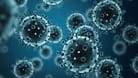 Grippevirus H1N1: Zwei neue Mutanten besorgen Experten.