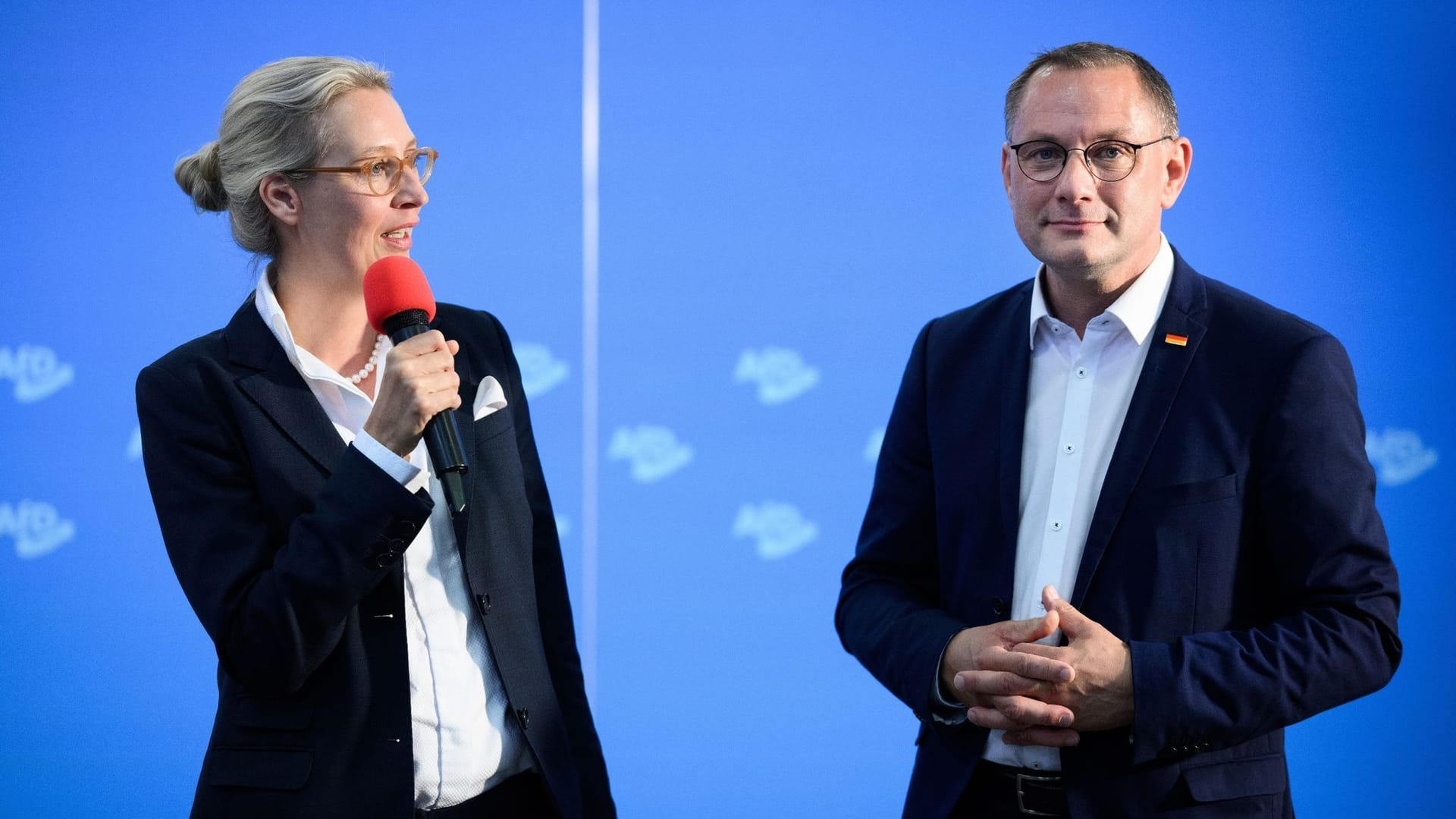 AfD-Bundesparteitag